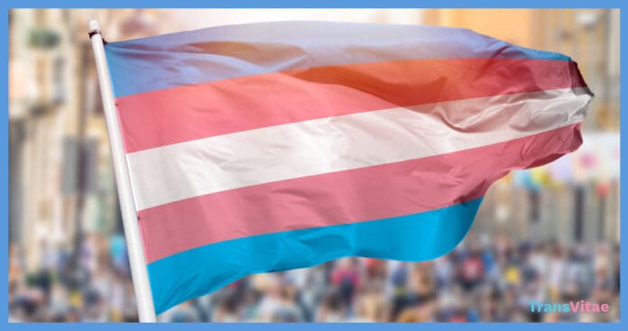 Trans Flag