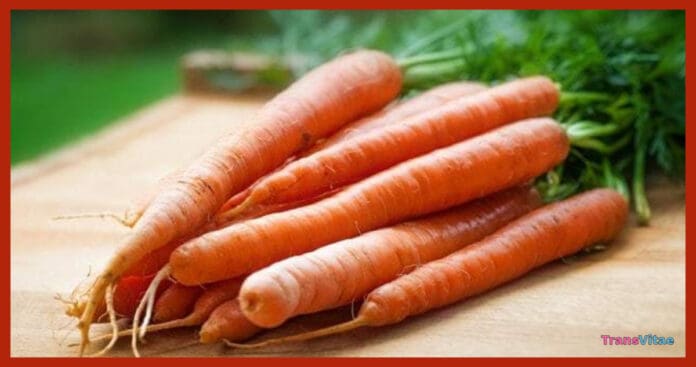 carrots