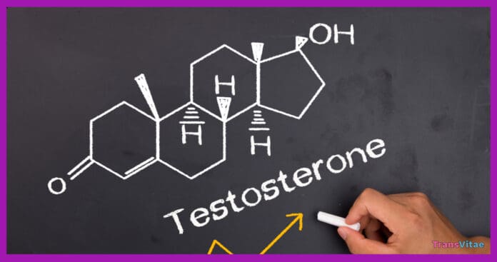 testosterone study transmen