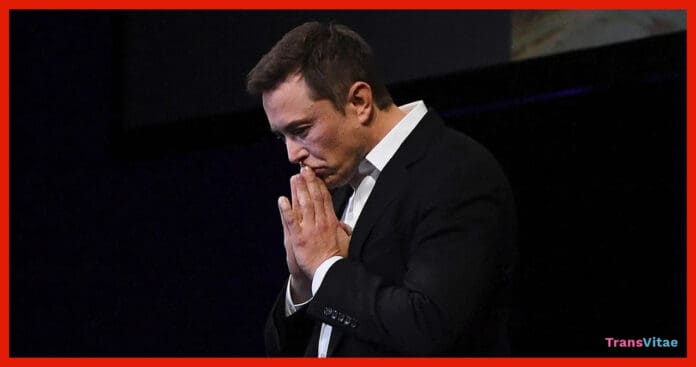 musk anti trans