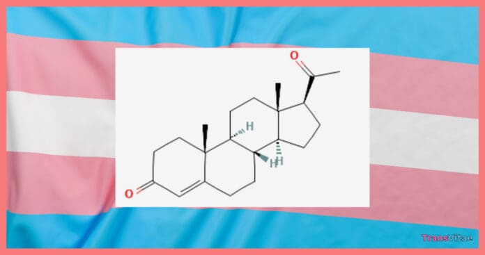 progesterone trans women