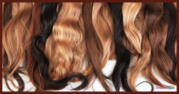 transgender hair extensions