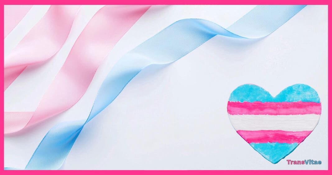 Transgender Day of Remembrance 2024 Reflection and Hope