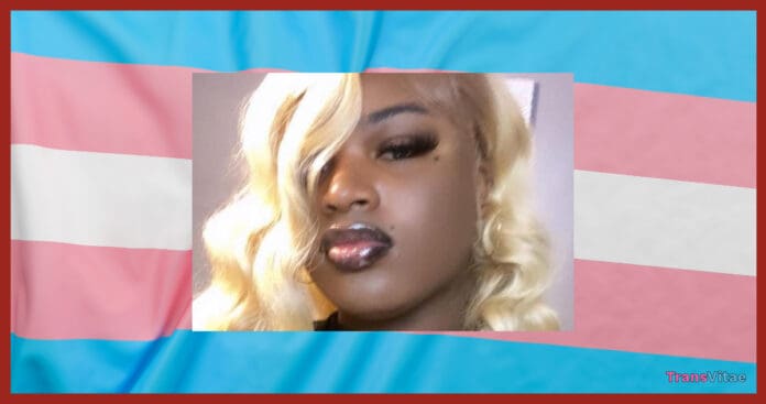 alabama trans woman cam marie