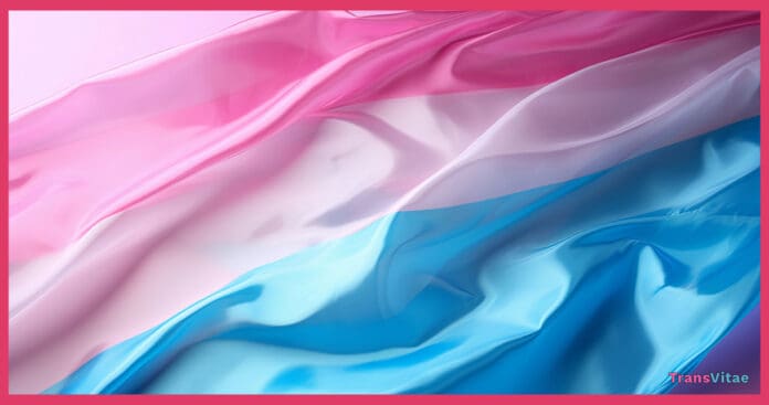 transgender flag suicide