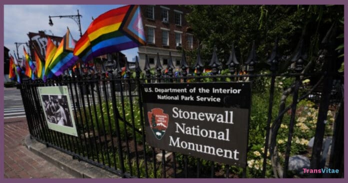 transgender nps stonewall