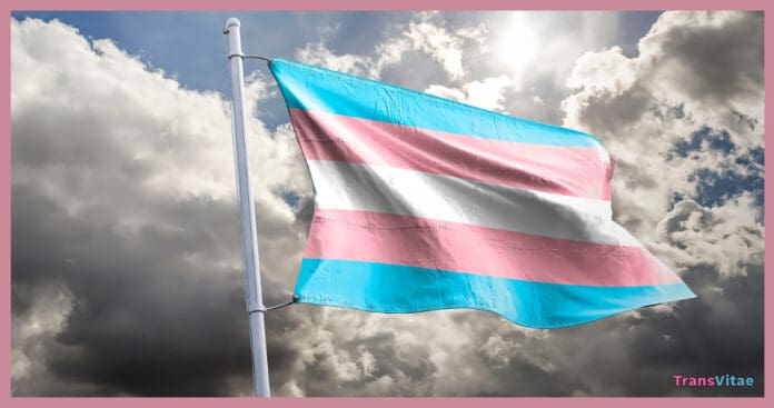 transgender day of visibility